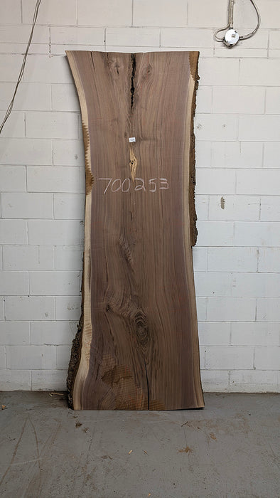 Walnut #700253