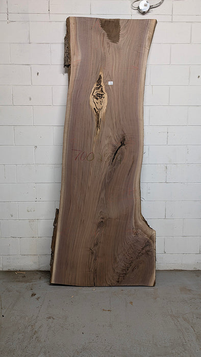 Walnut #700254