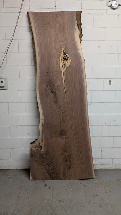 Walnut #700255