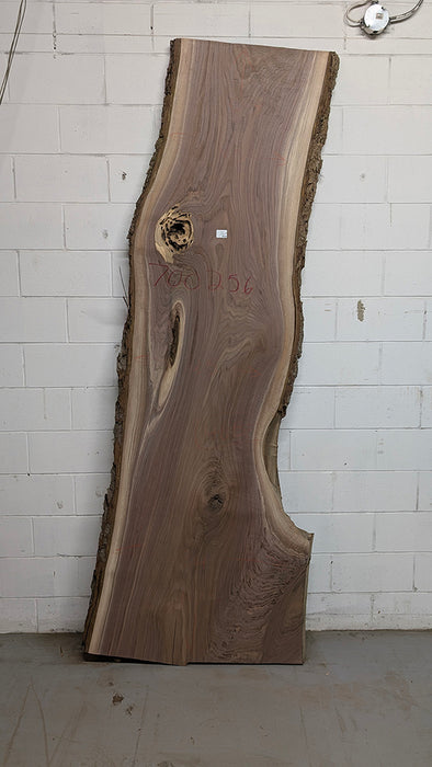 Walnut #700256