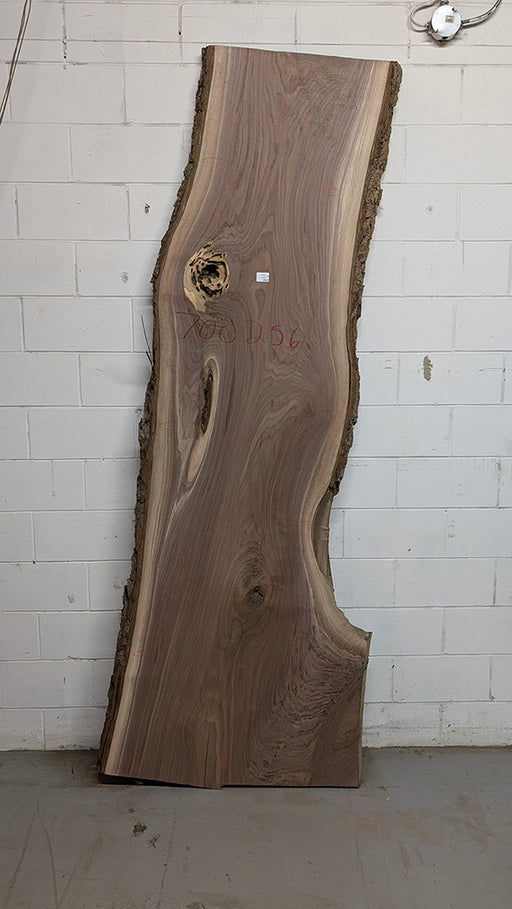 Walnut #700256
