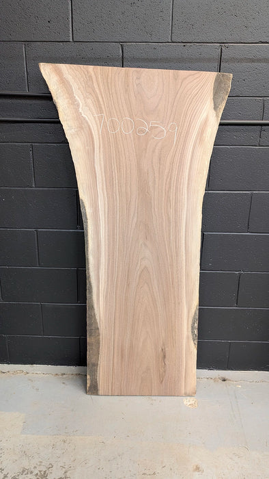 clear walnut live edge slab