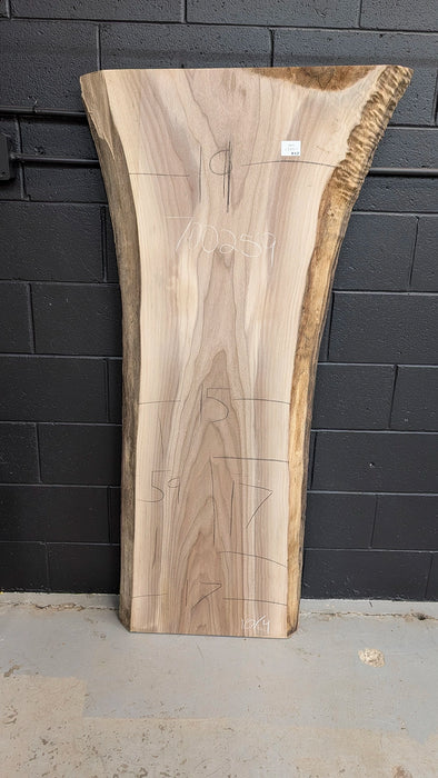 live edge walnut crotch