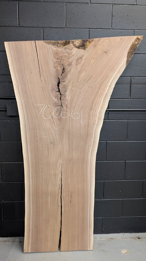 walnut slab great for river table