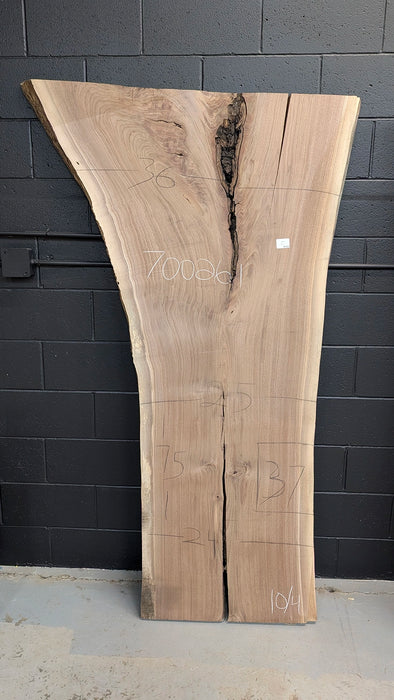 36" wide walnut slab