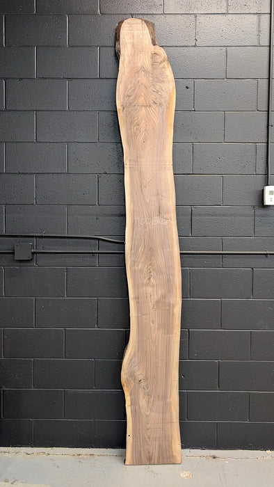 live edge walnut long slab