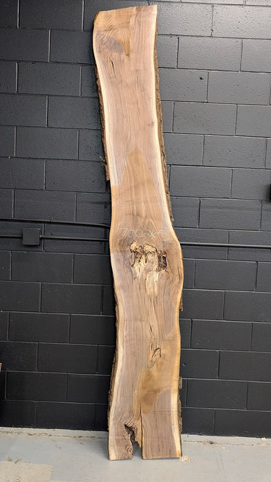Large live edge walnut slab