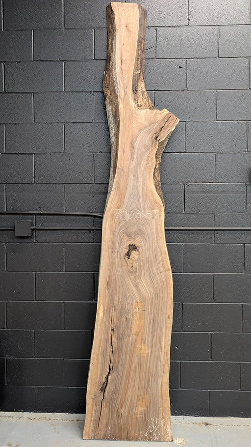 live edge walnut with interesting shape