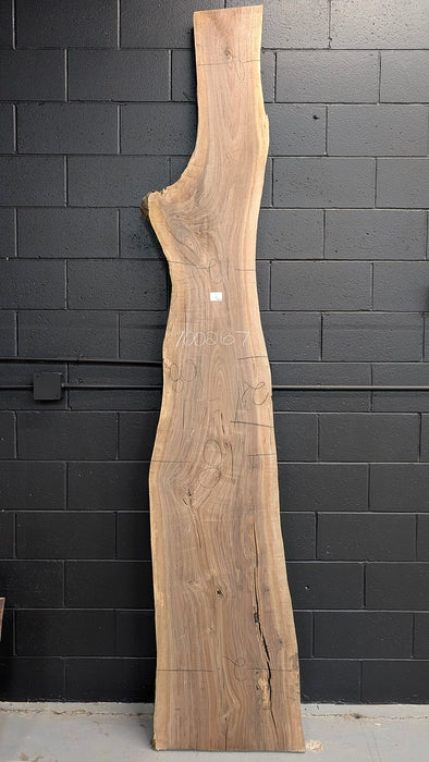 live edge walnut interesting shape 