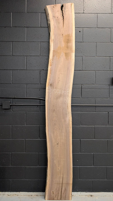 long and straight live edge walnut slab