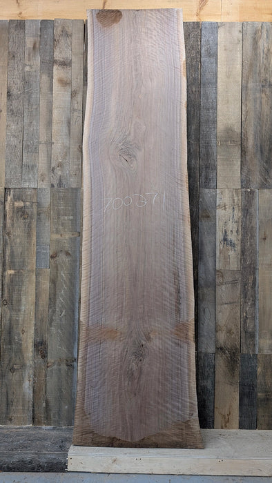 the best curly walnut in a slab