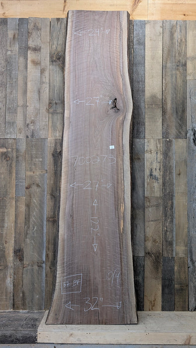 beautiful curly walnut slab