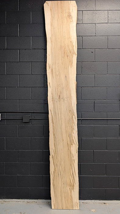 Maple #700307