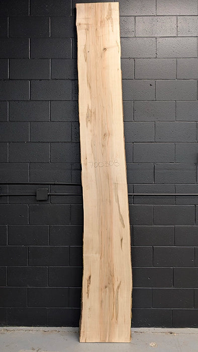 Maple #700308