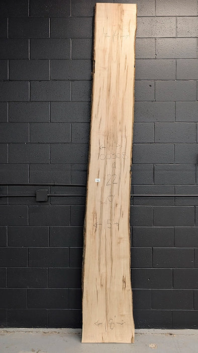 Maple #700308