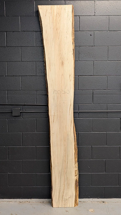 Maple #700310
