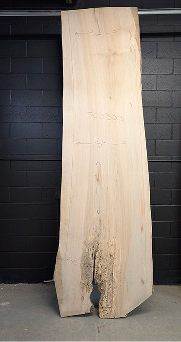 Maple #700325