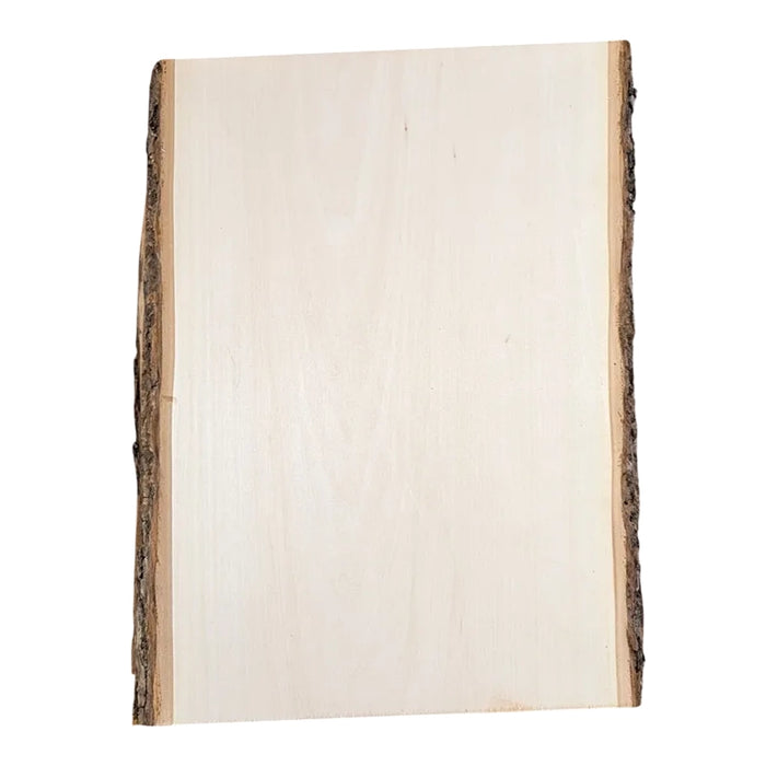 Live Edge Plaque - Basswood ( 9" - 11" )