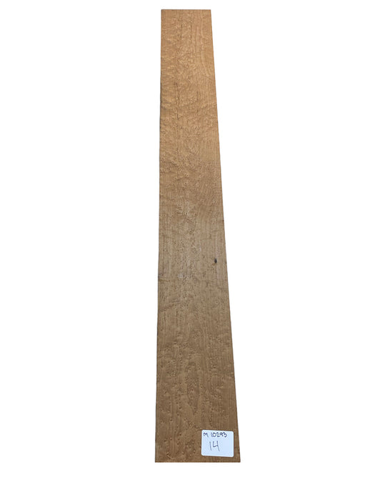 XL Roasted Maple Bass Neck - Master Grade