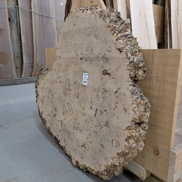 maple burl available for shipping