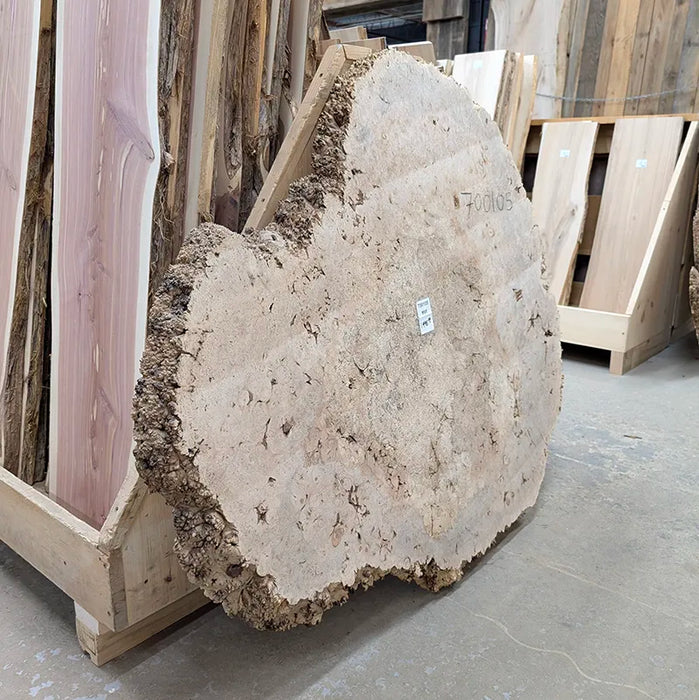 maple burl available for shipping