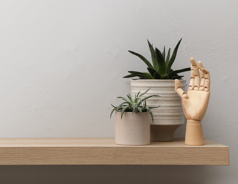 White Oak Shelf