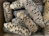 Banksia Nut