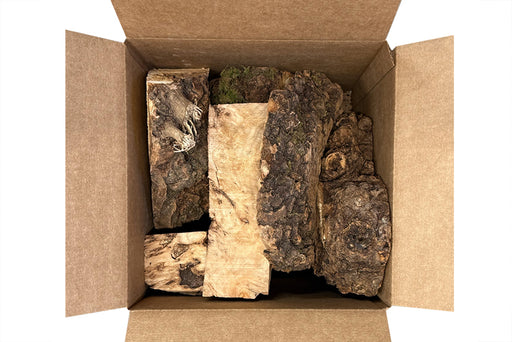 Cottonwood Burl Offcuts Box