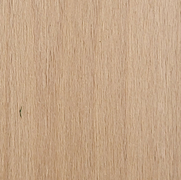 European Beech Wood Grain