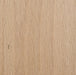 European Beech Wood Grain