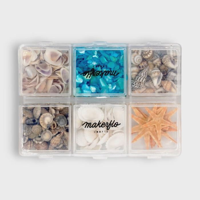 Seashell Variety Pack