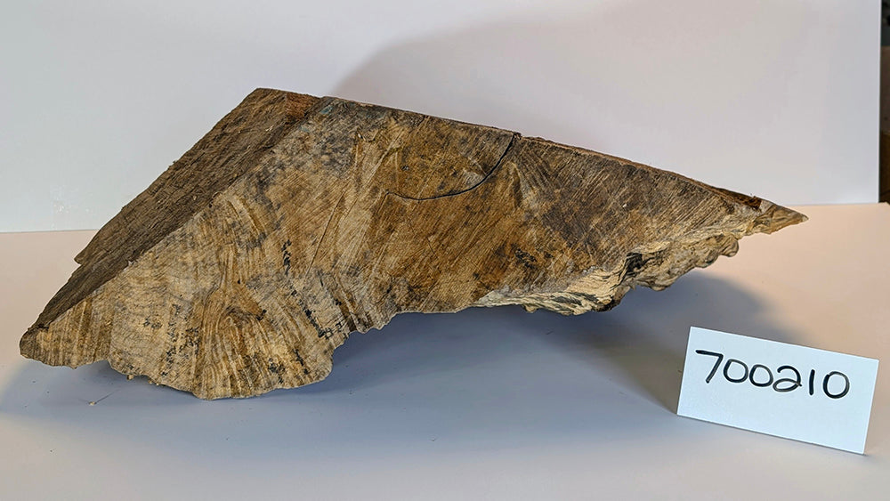 Maple Burl #700210