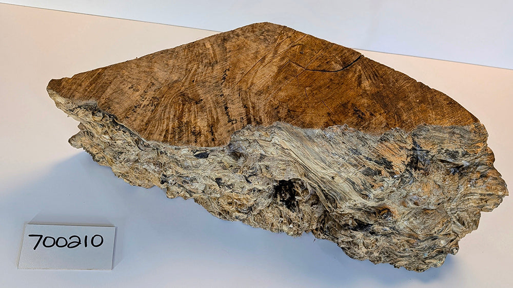 Maple Burl #700210
