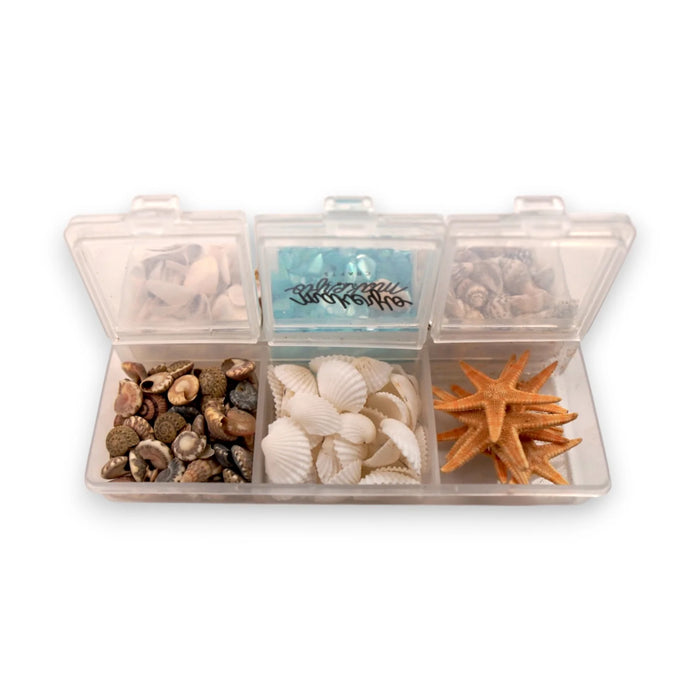 Seashell Variety Pack