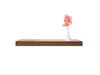 Sapele Floating Shelf with plant