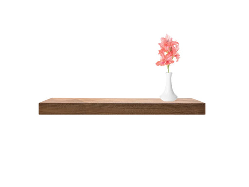 Sapele Floating Shelf with plant