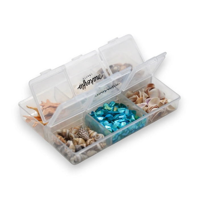 Seashell Variety Pack