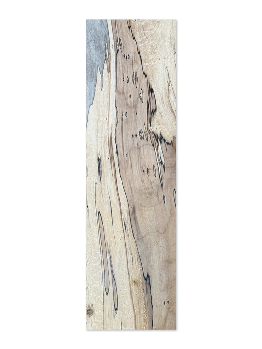 Spalted Maple wood