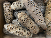 Banksia nuts for woodturning 