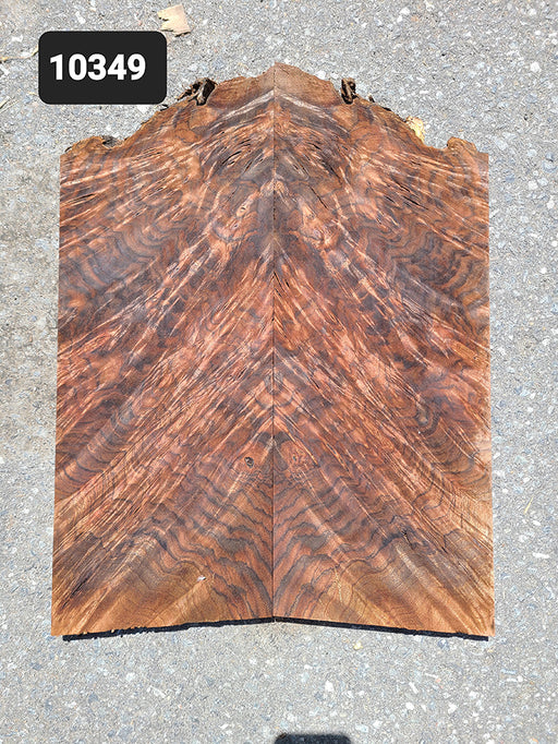 Bookmatched Claro Walnut Burl Drop Top 