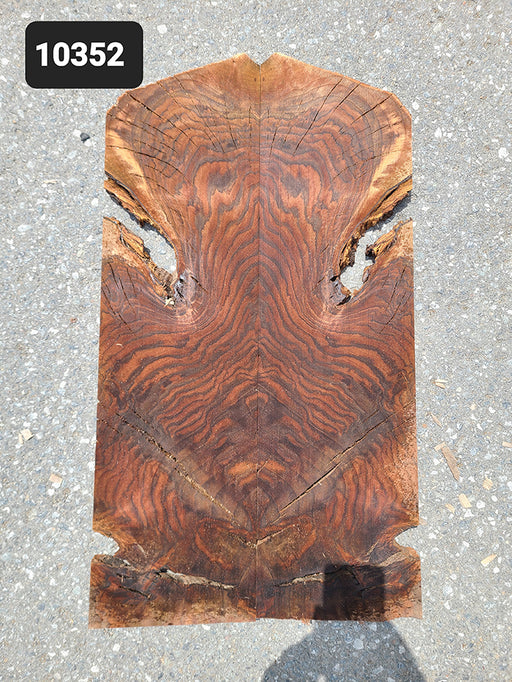 Bookmatched Claro Walnut Burl Drop Top (10352)