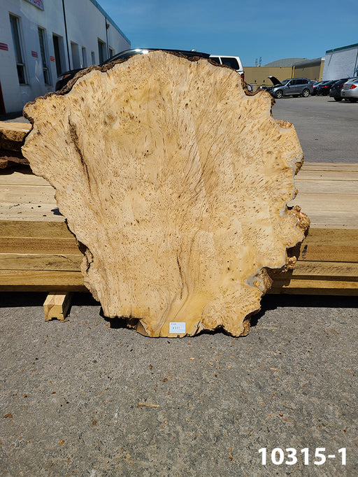 Yellow Cedar Burl 